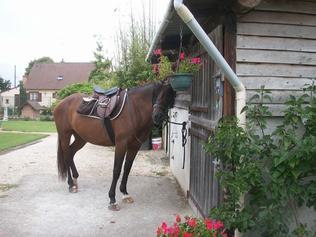 Le Clos des Perraudières Cour-Cheverny Esterno foto