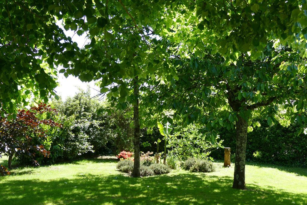 Le Clos des Perraudières Cour-Cheverny Esterno foto